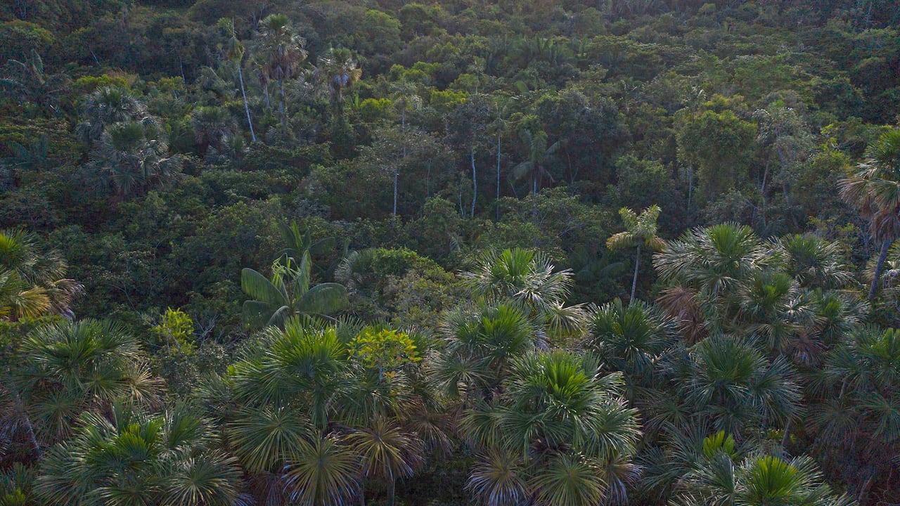El proyecto también incluyó actividades de sensibilización ambiental.