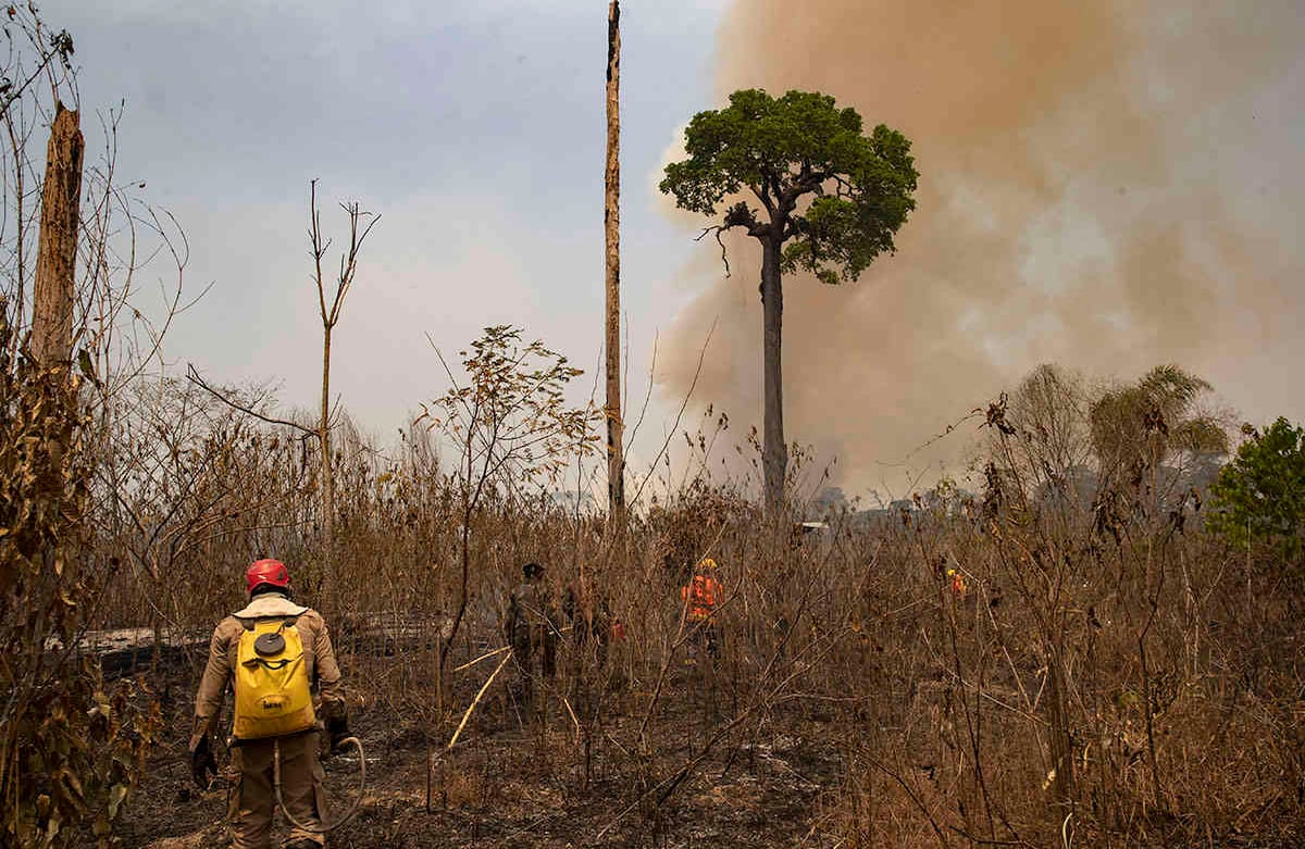 Bomberos y soldados del Ejército trabajan para controlar un incendio en tierras deforestadas por ganaderos cerca de Novo Progresso, estado de Pará, Brasil, el domingo 23 de agosto de 2020. Foto: Andre Penner / AP 