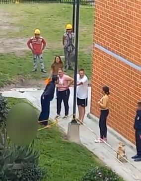 La propietaria del perro más pequeño le reclamó a la dueña del pitbull por pasearlo sin bozal.