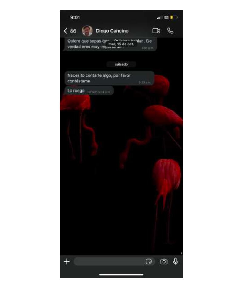 Chats de Diego Cancino con Viviana Vargas.