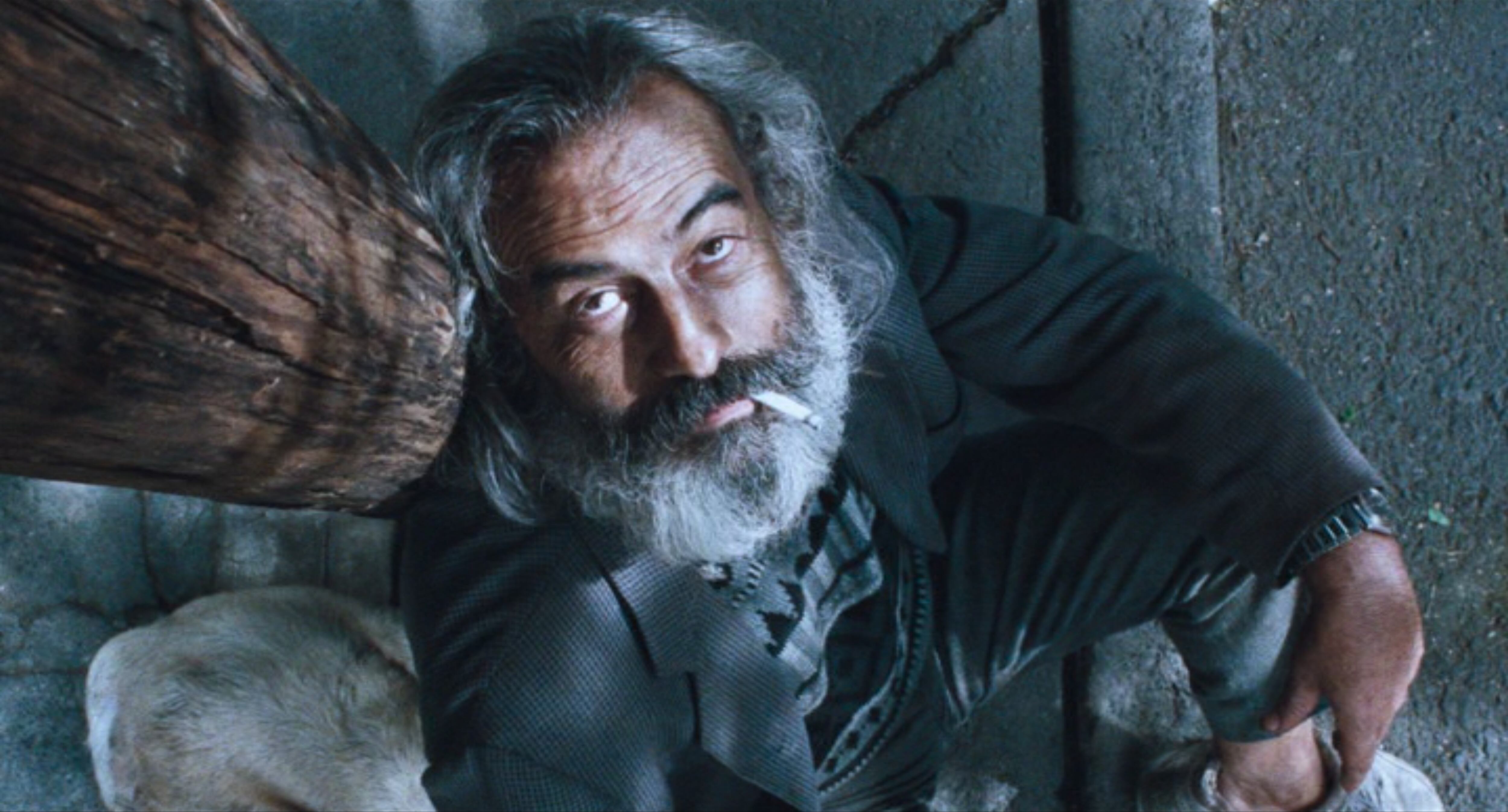 Amores Perros de Alejandro González Iñárritu cumple 25 años y regresa a las salas de cine, así podrá ver la película en Colombia