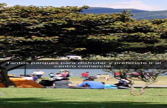 Alcaldía de Bogotá. 