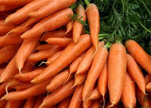 Zanahorias: Según la publicación científica LiveScience, estas te dan los niveles de glucosa que tu cerebro necesita para funcionar bien. Foto: Pantherstock