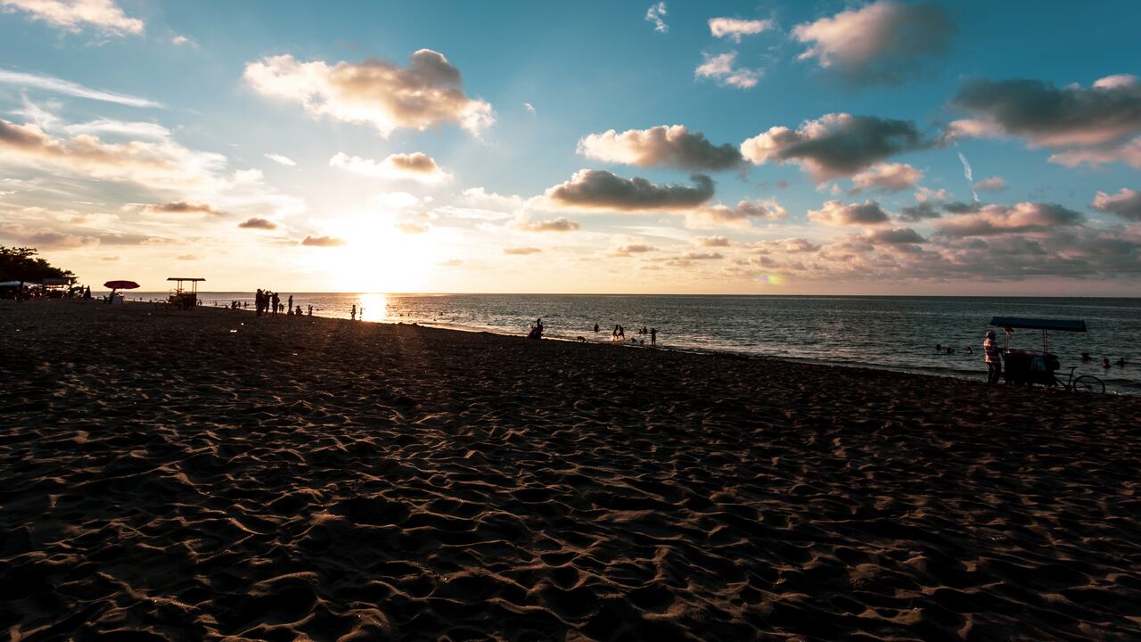 A unos 45 minutos en lancha mar adentro se puede hacer avistamiento de ballenas, y visitar islas cercanas para el avistamiento de aves.