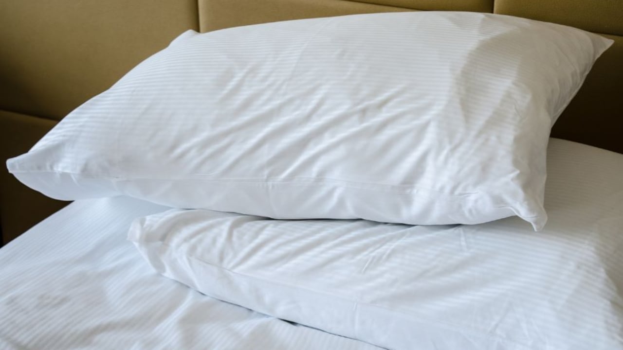 Las fundas de almohadas sin lavar se convierten en un caldo de cultivo para los ácaros del polvo y los alérgenos.