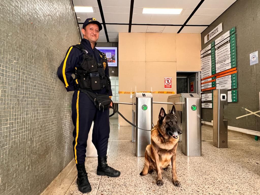 Mascota. Imagen de referencia.