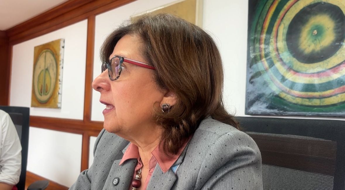 Diana Ojeda, procuradora delegada para Asuntos de la Salud.
