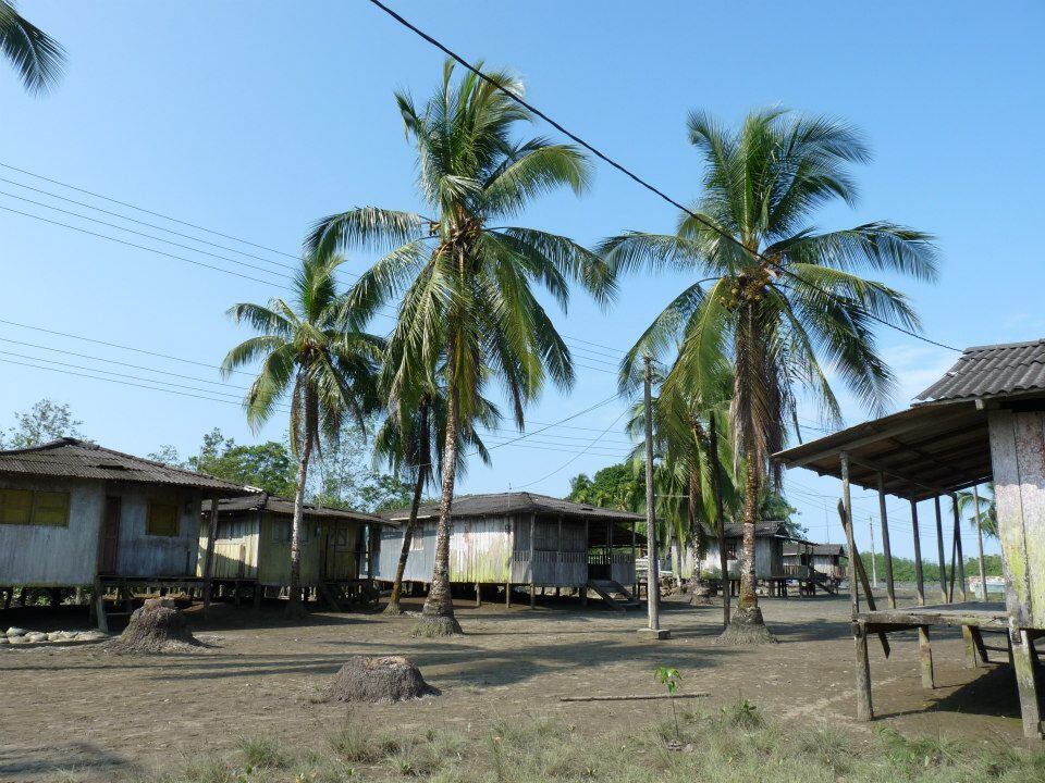 Así permanecen algunas zonas rurales de Istmina.