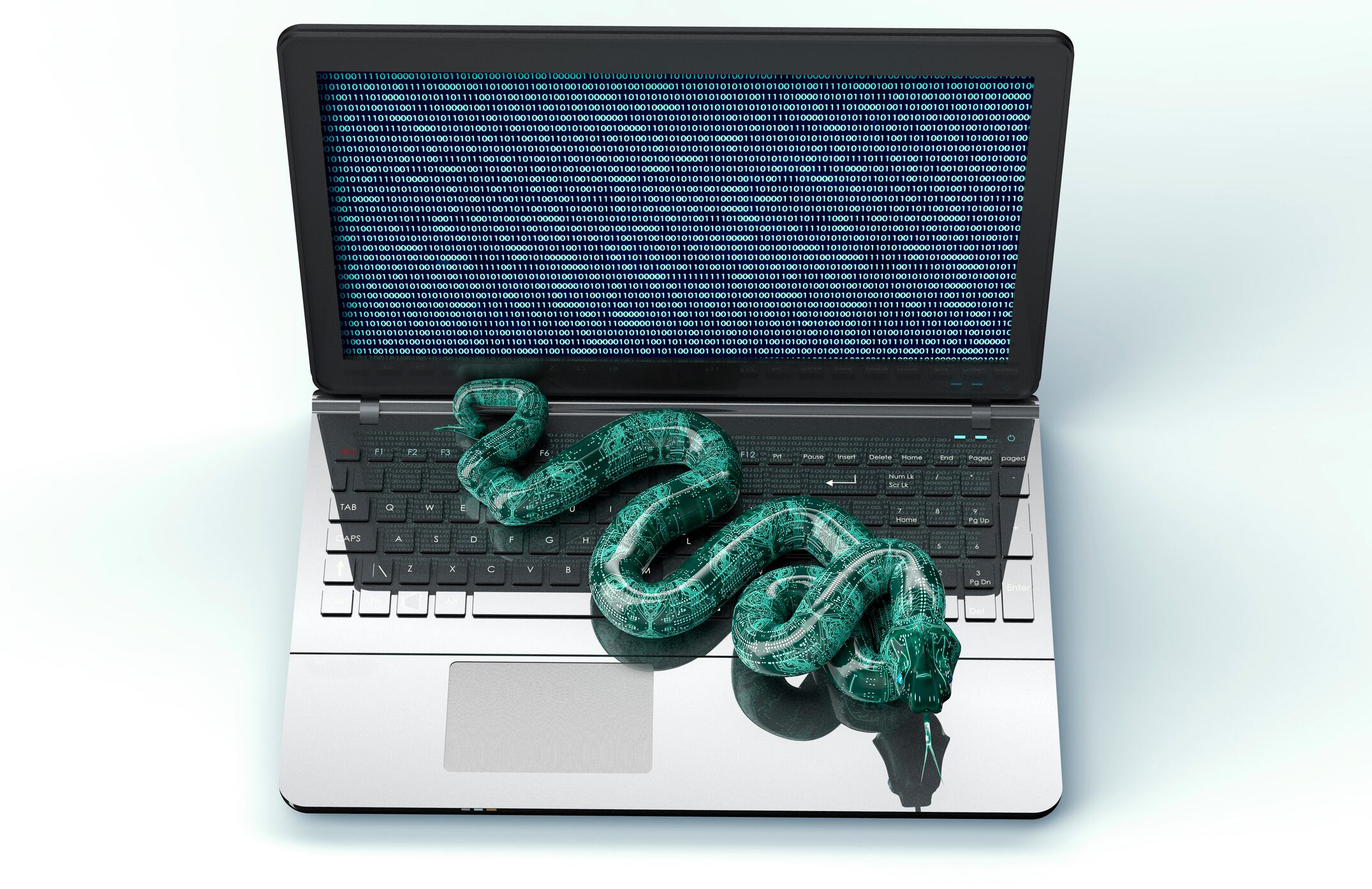 Ciberdelincuentes usan versiones modificadas de chatbots populares para crear malware y robar datos.