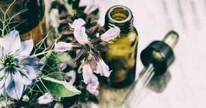 Conoce en qué consiste y cómo puede ser el complemento ideal para la salud de tu peludo en casa.