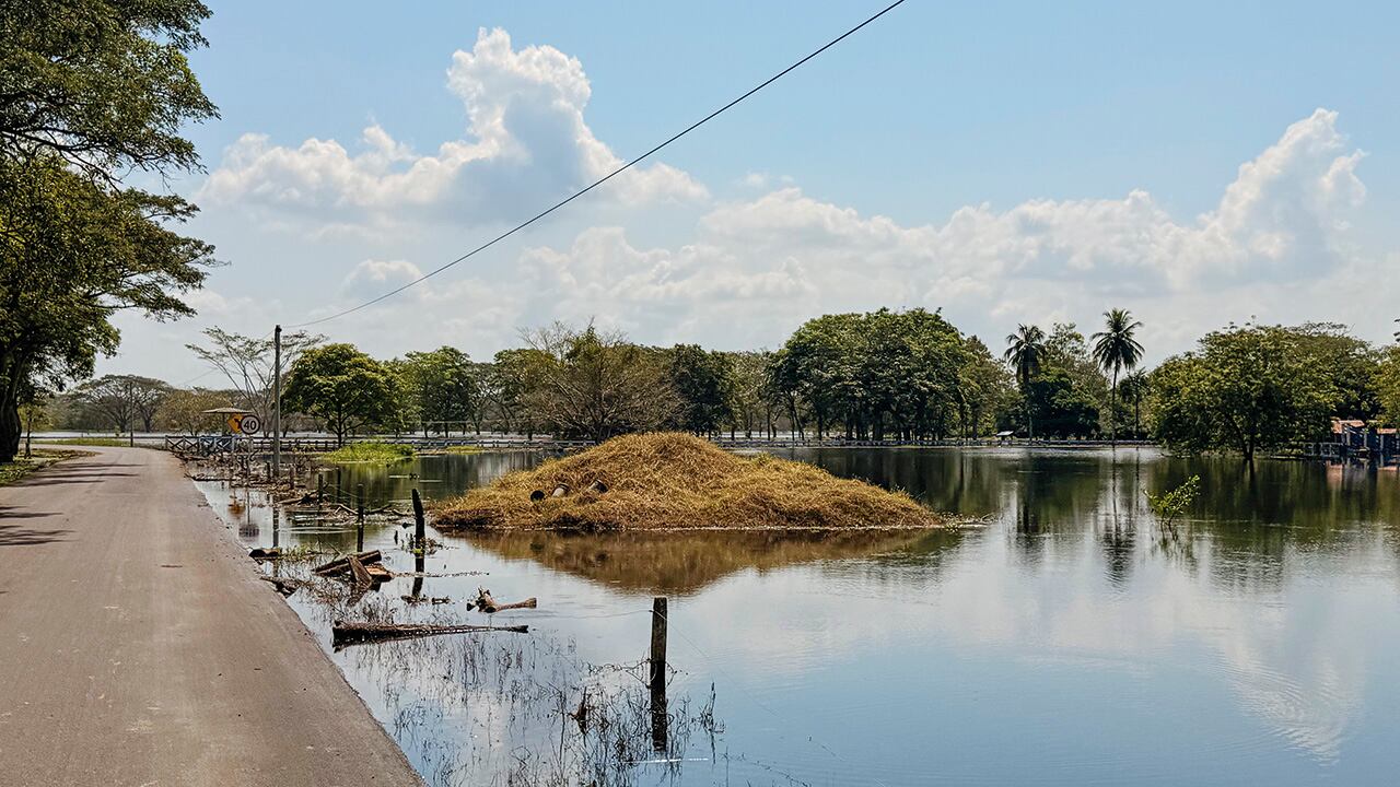 Años de trabajo borrados por el agua. Ahora el miedo no es solo económico.