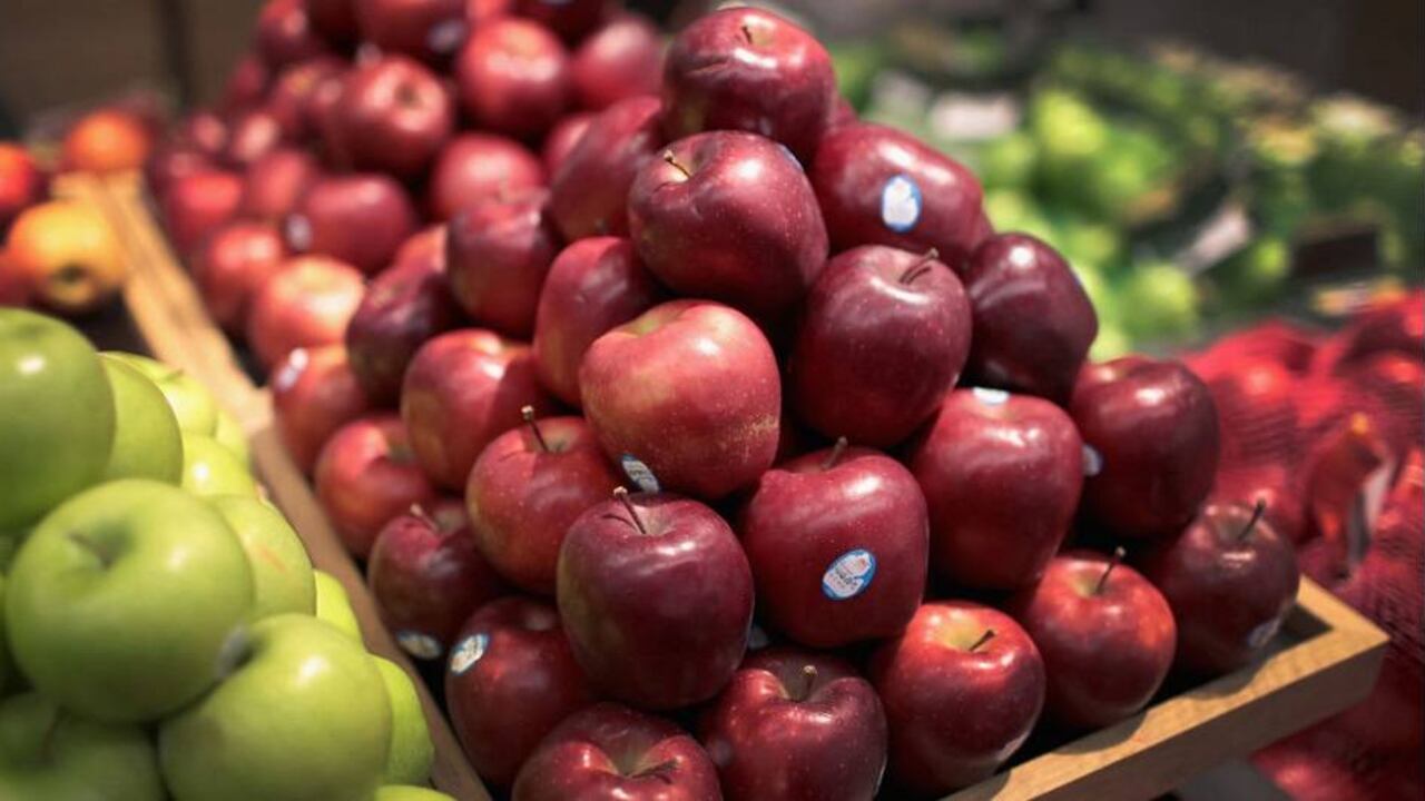 ¿Está Colombia preparada para universalizar el IVA a la canasta familiar?