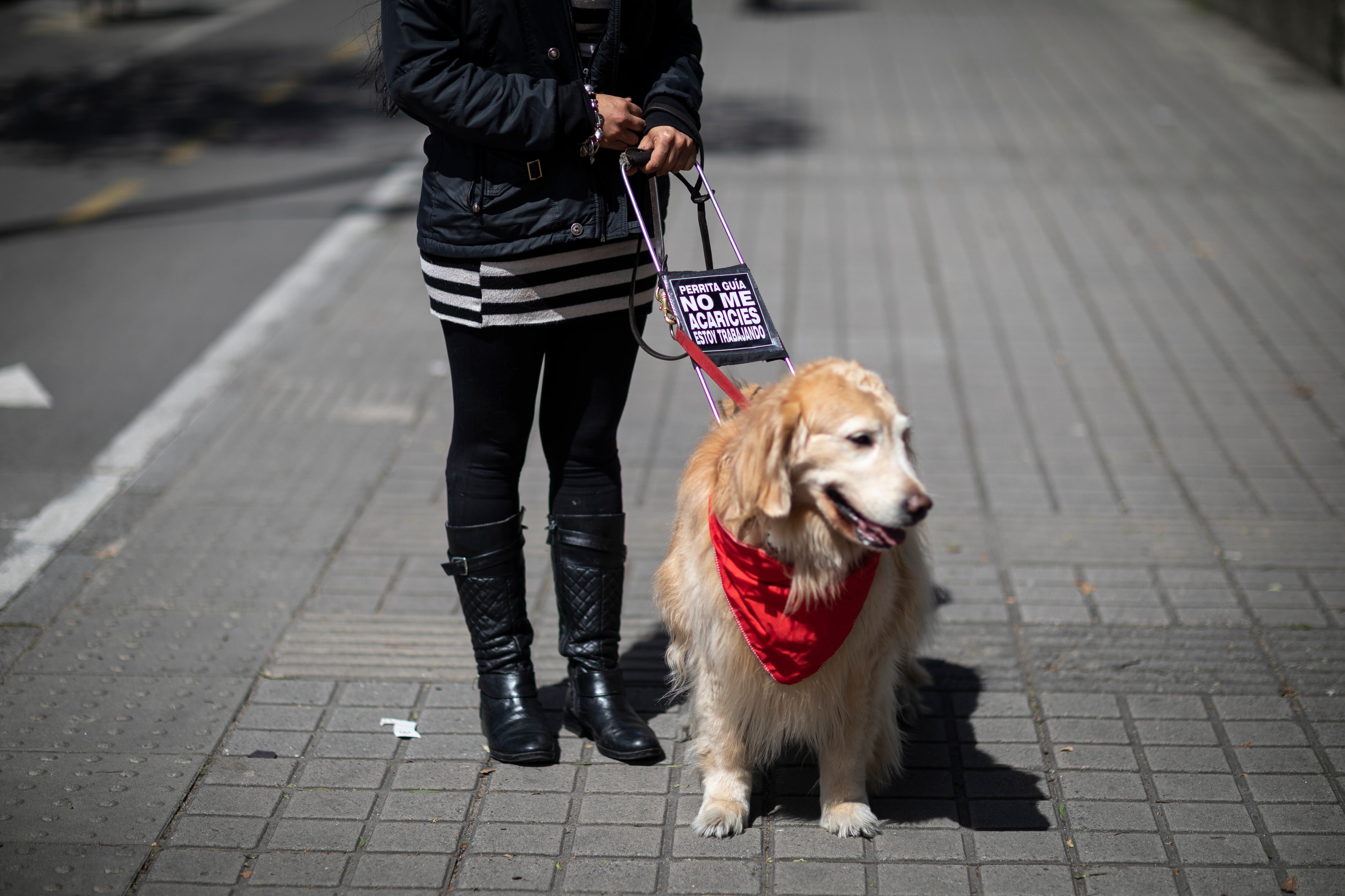 Discapacidad Visual Invidentes