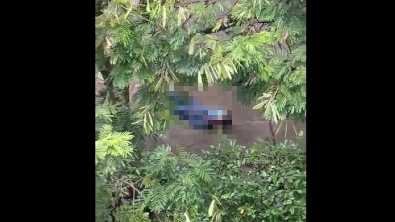 Uno de los ladrones fue abatido en un cruce de disparos con la Policía.