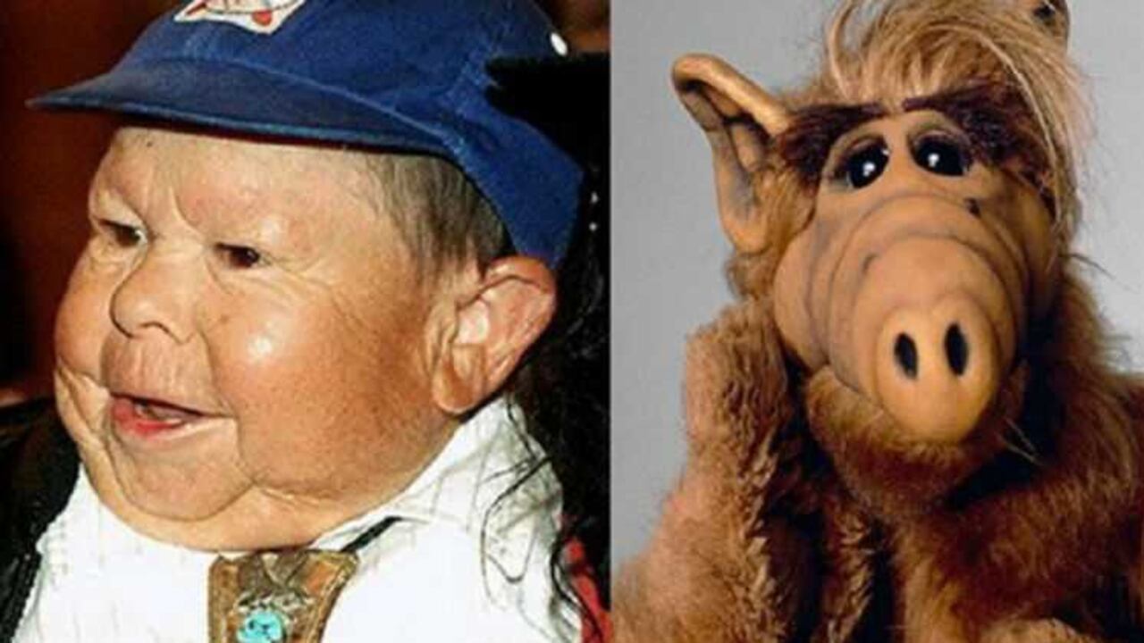 : Meszaros residía en Beverly Hills (Los Ángeles) y, de acuerdo con la página web IMDb, sus pasatiempos preferidos eran beber whisky escocés y fumar puros.