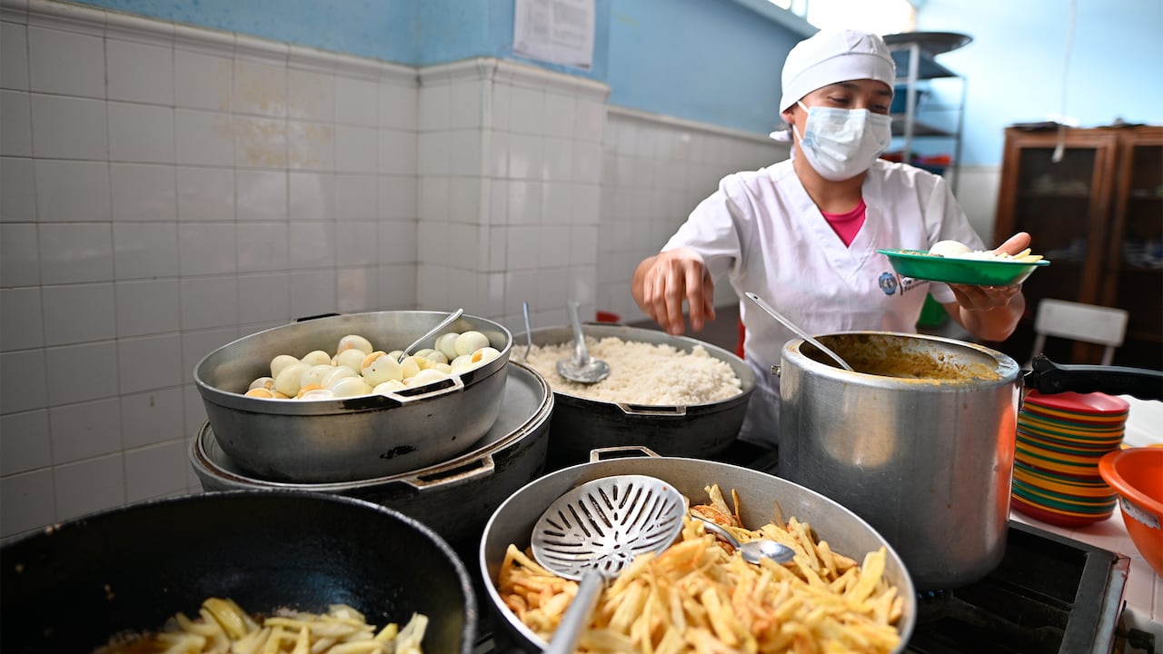 Las alianzas con instituciones locales e internacionales fortalecen la ejecución del programa. Con la FAO se promueve la alimentación saludable.