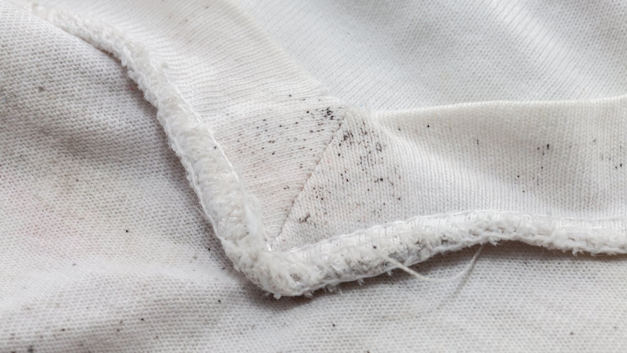 El moho se puede pegar a la ropa.