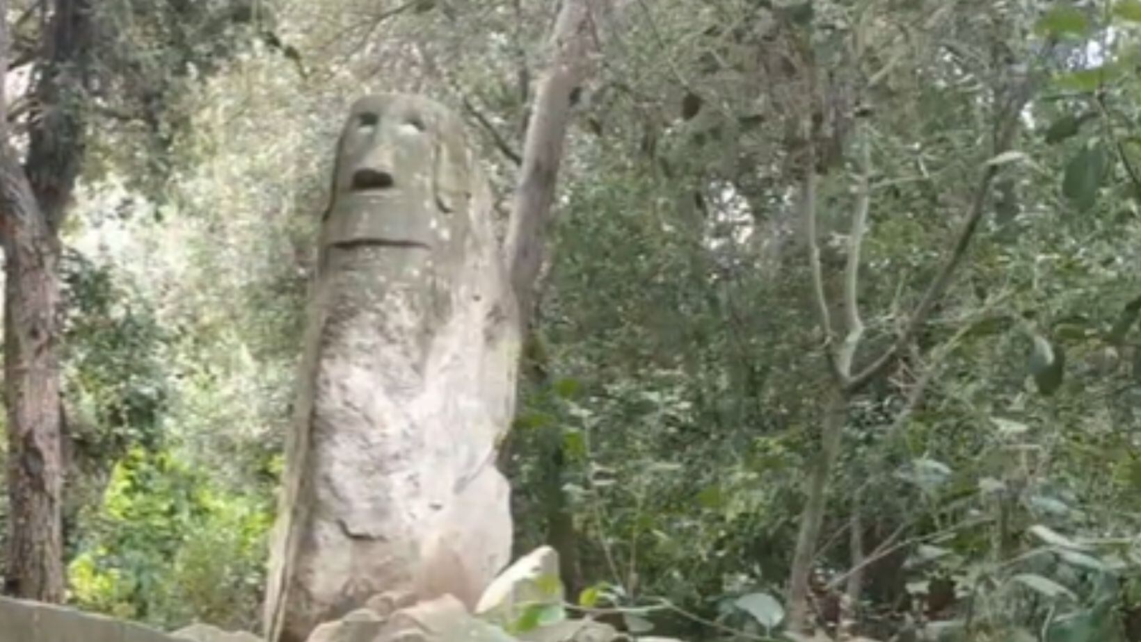 Orrius, el bosque más mágico y misterioso de España