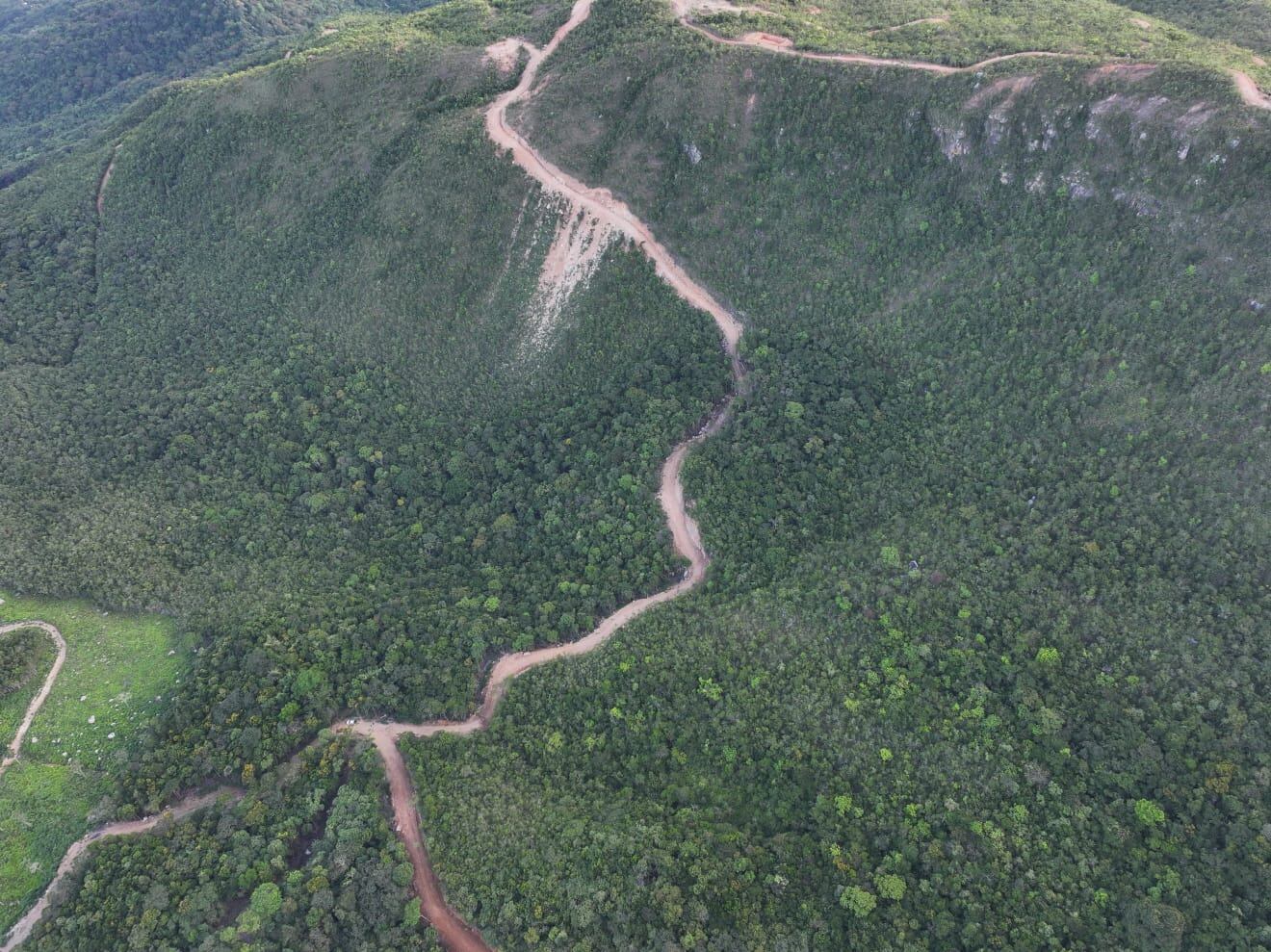 Zona donde estaban realizando la tala de manera ilegal.