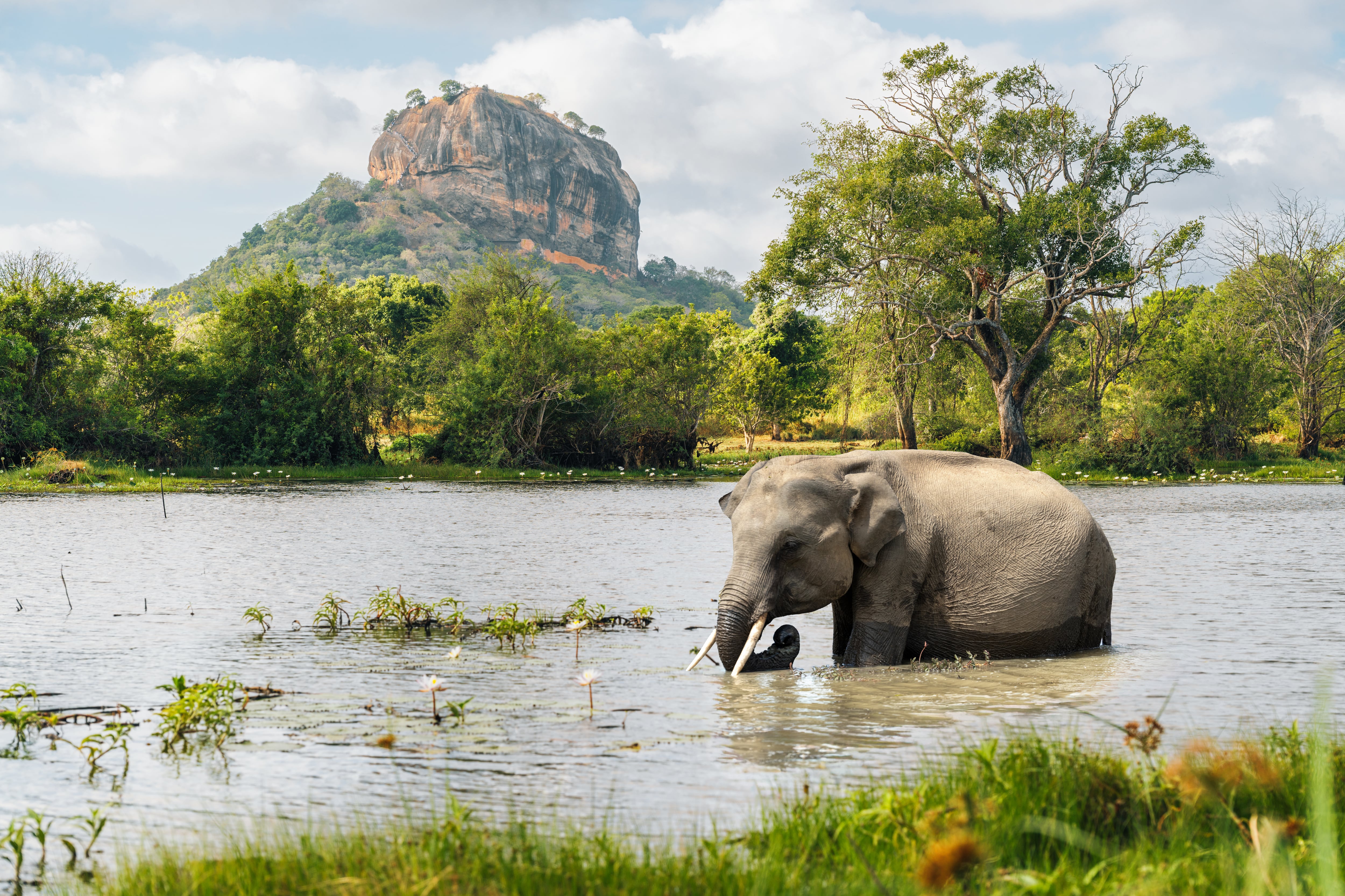 Sri Lanka