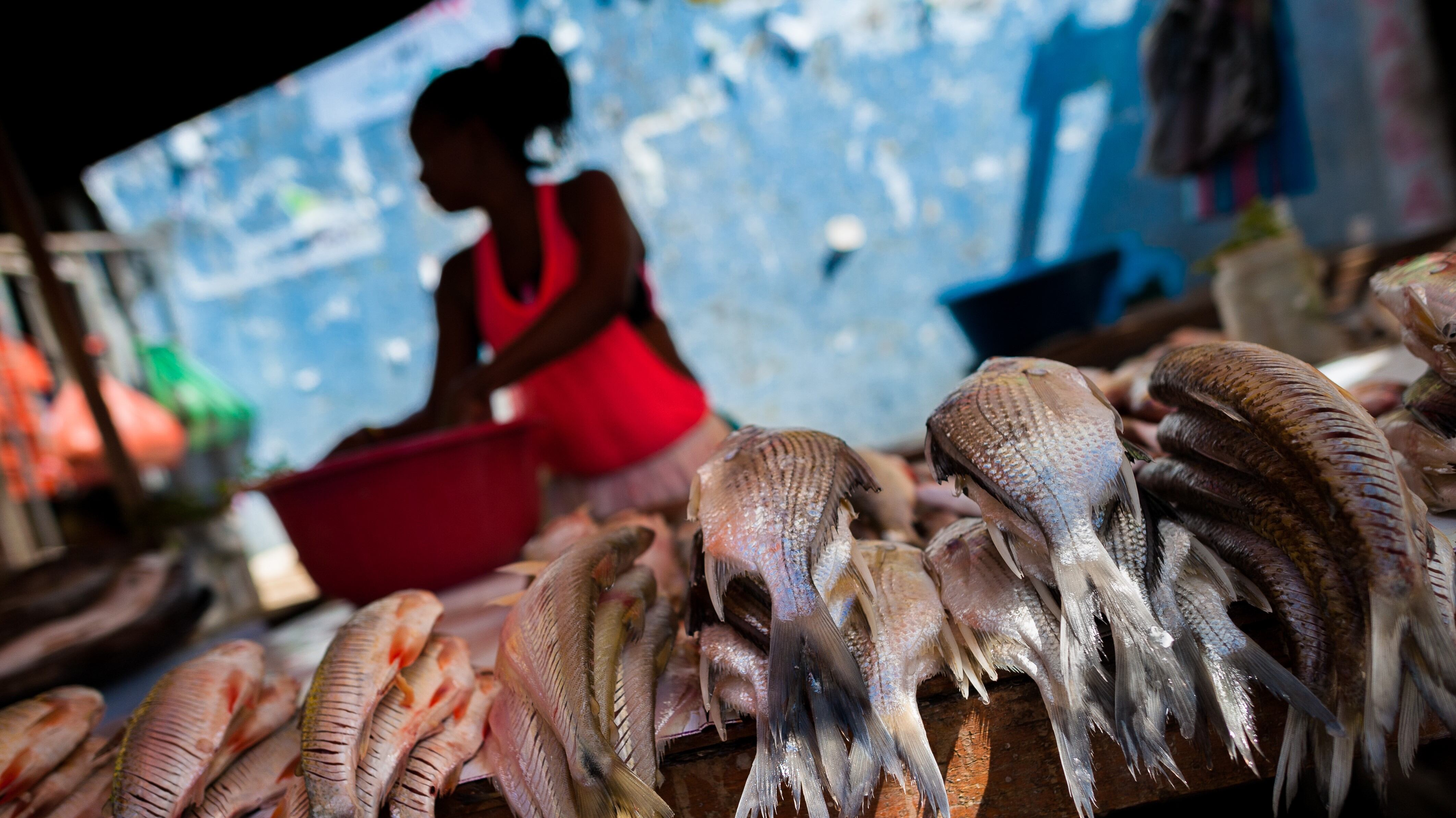 El mercado de Bazurto es uno de los lugares que hay que visitar en Cartagena, según Nicolás de Zubiría.