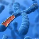 Dos estudios revelaron que la falta de cromosoma Y es un detonante para el desarrollo de tumores cancerígenos en hombres