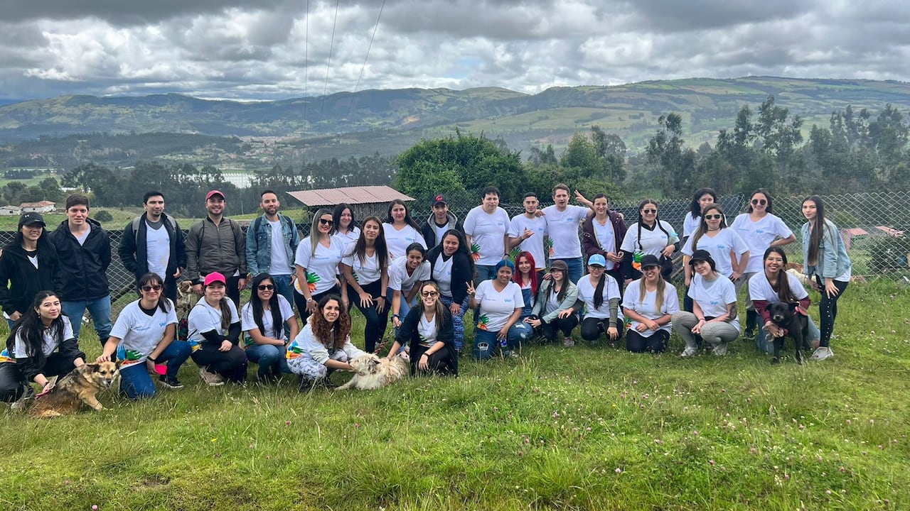 Una de las estrategias de Siigo ha sido adoptar programas que impactan positivo el medio ambiente.