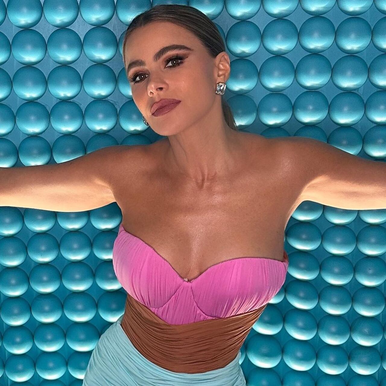 Foto: Instagram @sofiavergara.