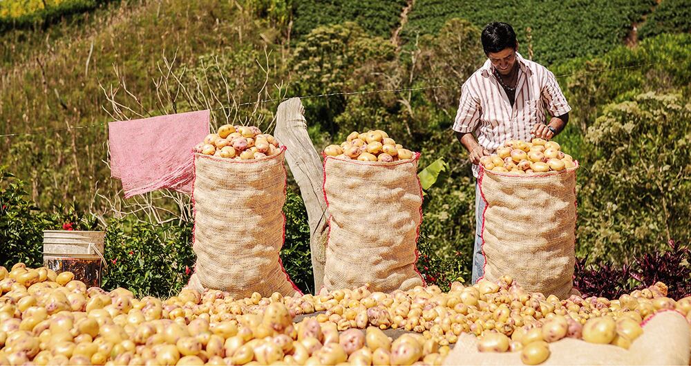 La dinámica sectorial_4