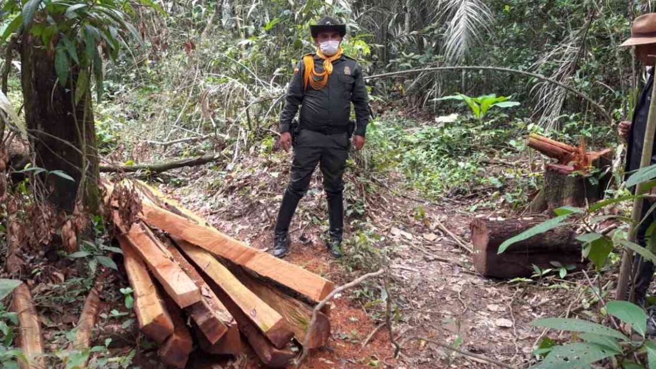 Meta es el segundo departamento más deforestado del país. Foto: Cormacarena.