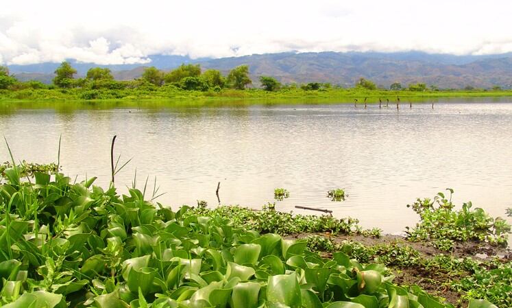 Atractivos del Valle del Cauca