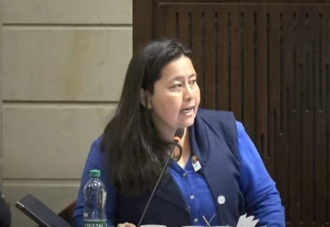 Etna Támara, congresista