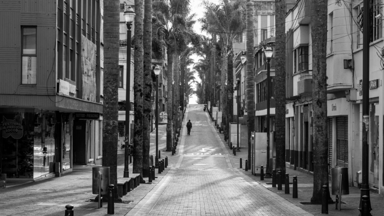 Carlos Pineda - Dimensión reconocida