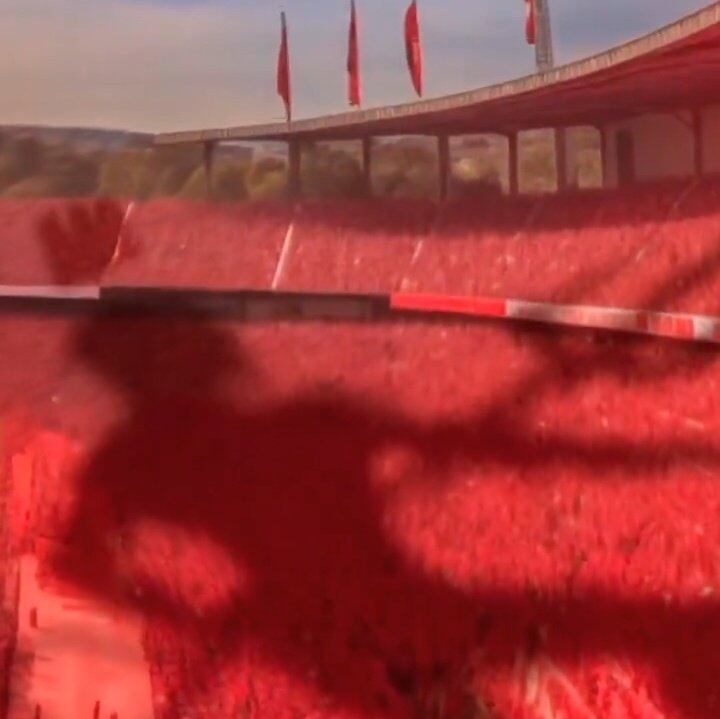 La corona sobre la silueta del diablo