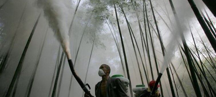 En España se esparce deliberadamente cada año decenas de miles de toneladas de plaguicidas, particularmente en la región de Andalucía.