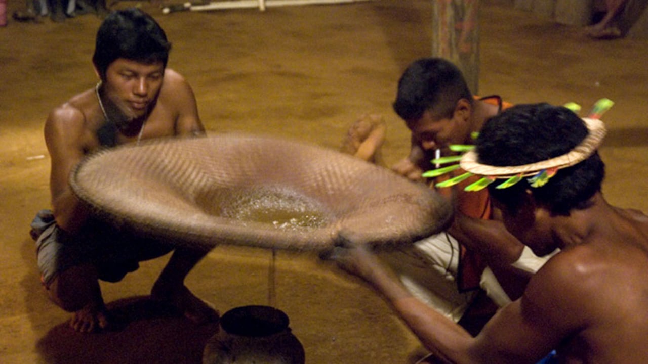 El parque Apaporis tiene un millón de hectáreas de selva virgen y es habitado por cerca de 25 comunidades indígenas.