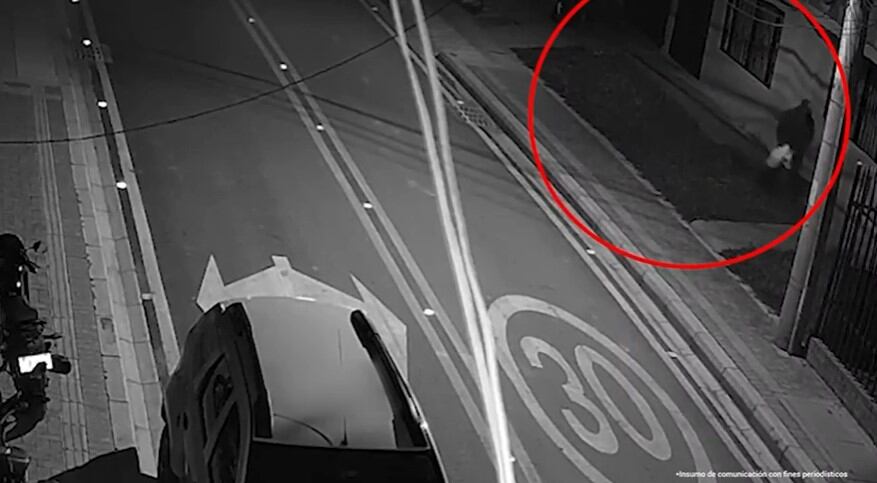 Condenaron al hombre que en bicicleta regó comida envenenada para matar perros en Cajicá, Cundinamarca