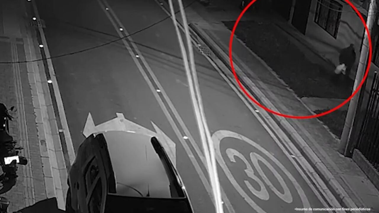 Condenaron al hombre que en bicicleta regó comida envenenada para matar perros en Cajicá, Cundinamarca