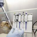 OMS suspende ensayos con Hidroxicloroquina.