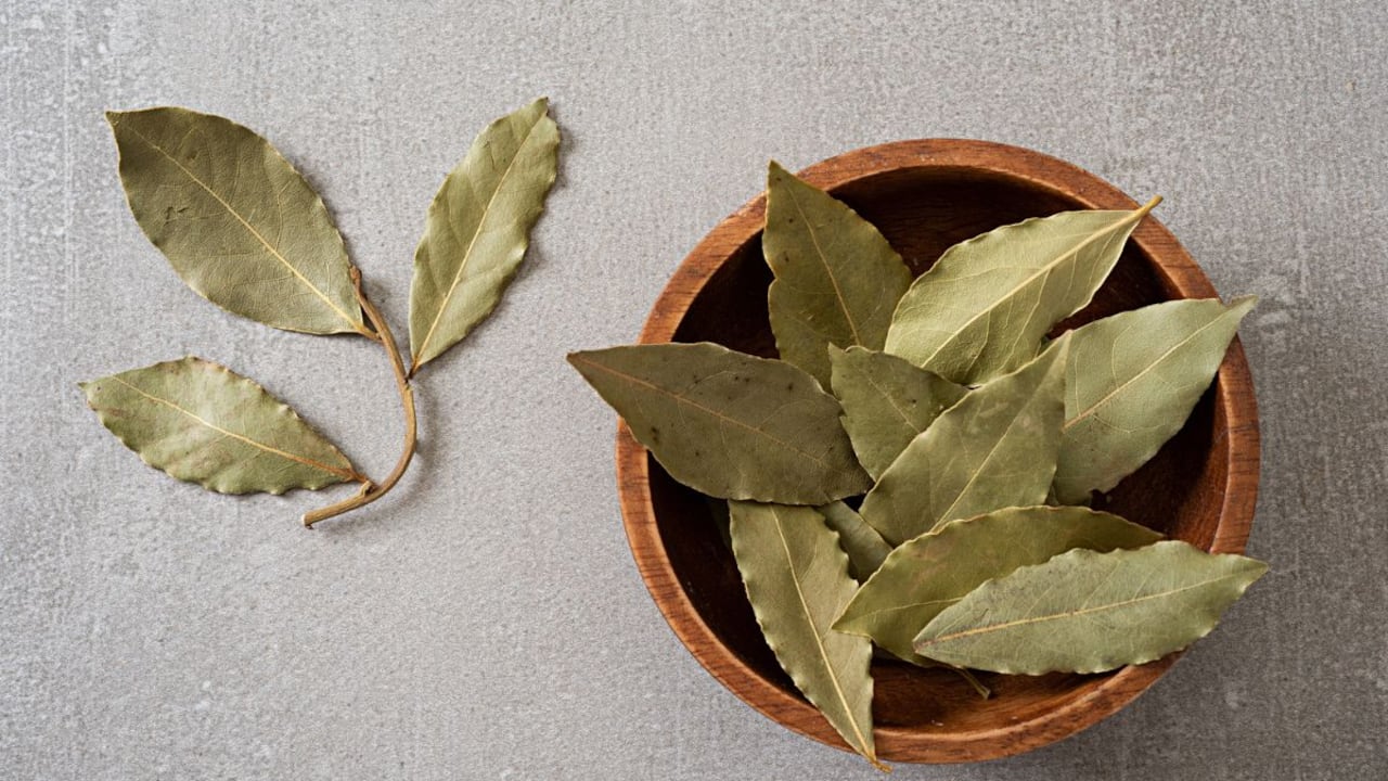 Aprenda a almacenar de manera correcta las hojas de laurel
