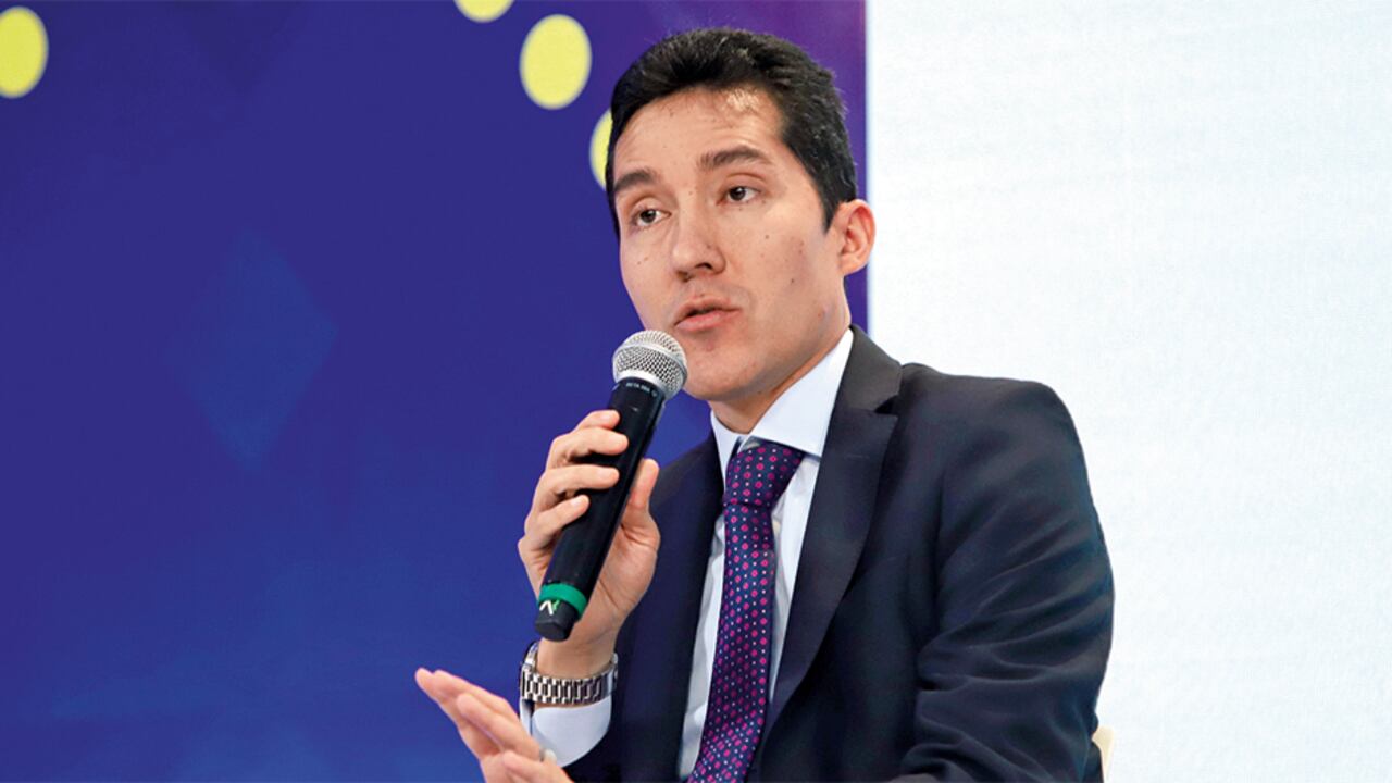 Luis F. Mejía, director de Fedesarrollo