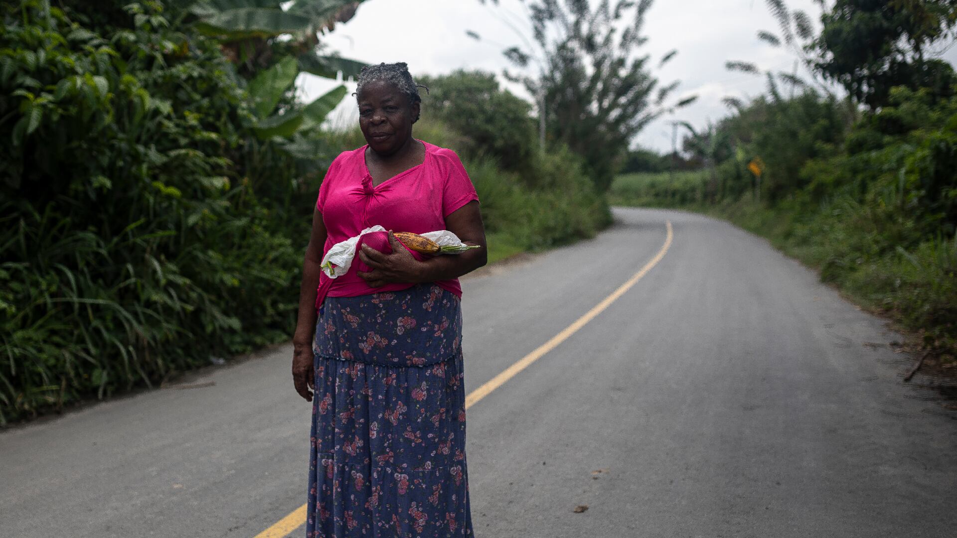 A corto plazo se espera ejecutar cinco proyectos por más de 15 mil millones de pesos.