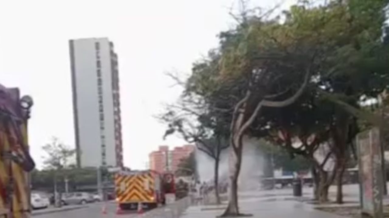Ataque de abejas africanizadas en Barranquilla.