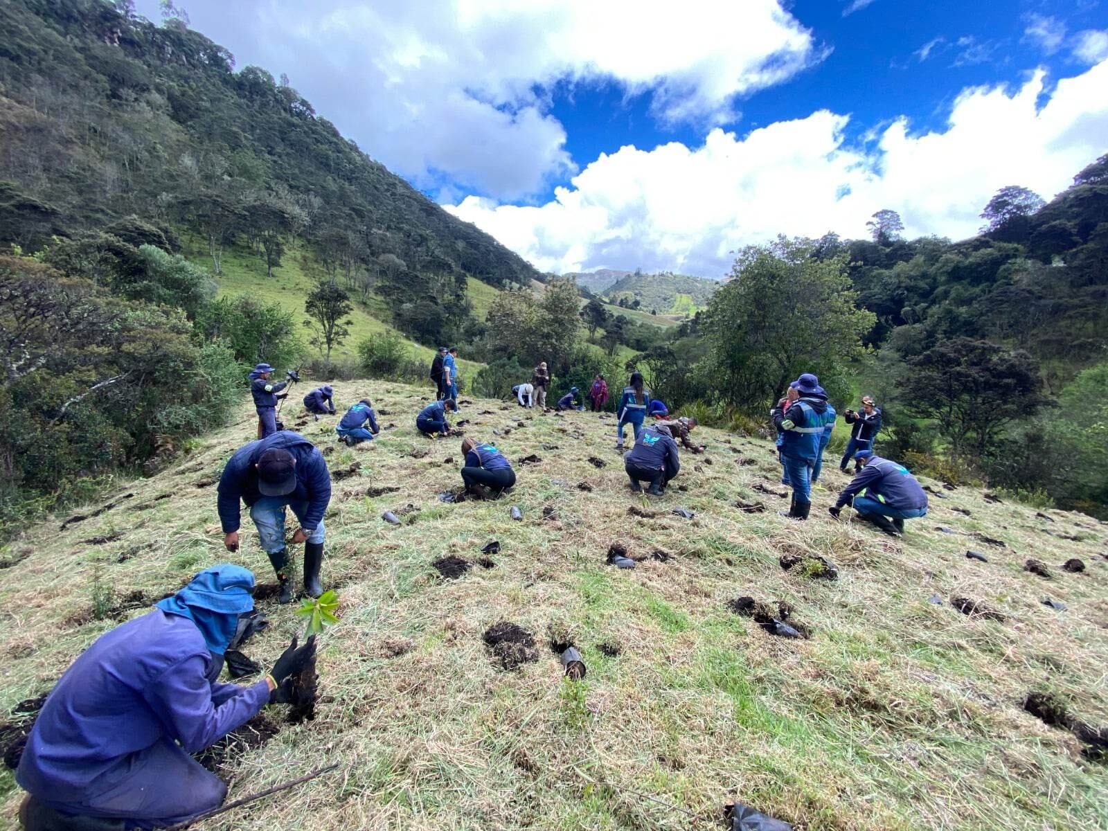 Siembra de árboles en el río Bogotá y Ubaté-Suárez