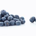Arándano, un superalimento.