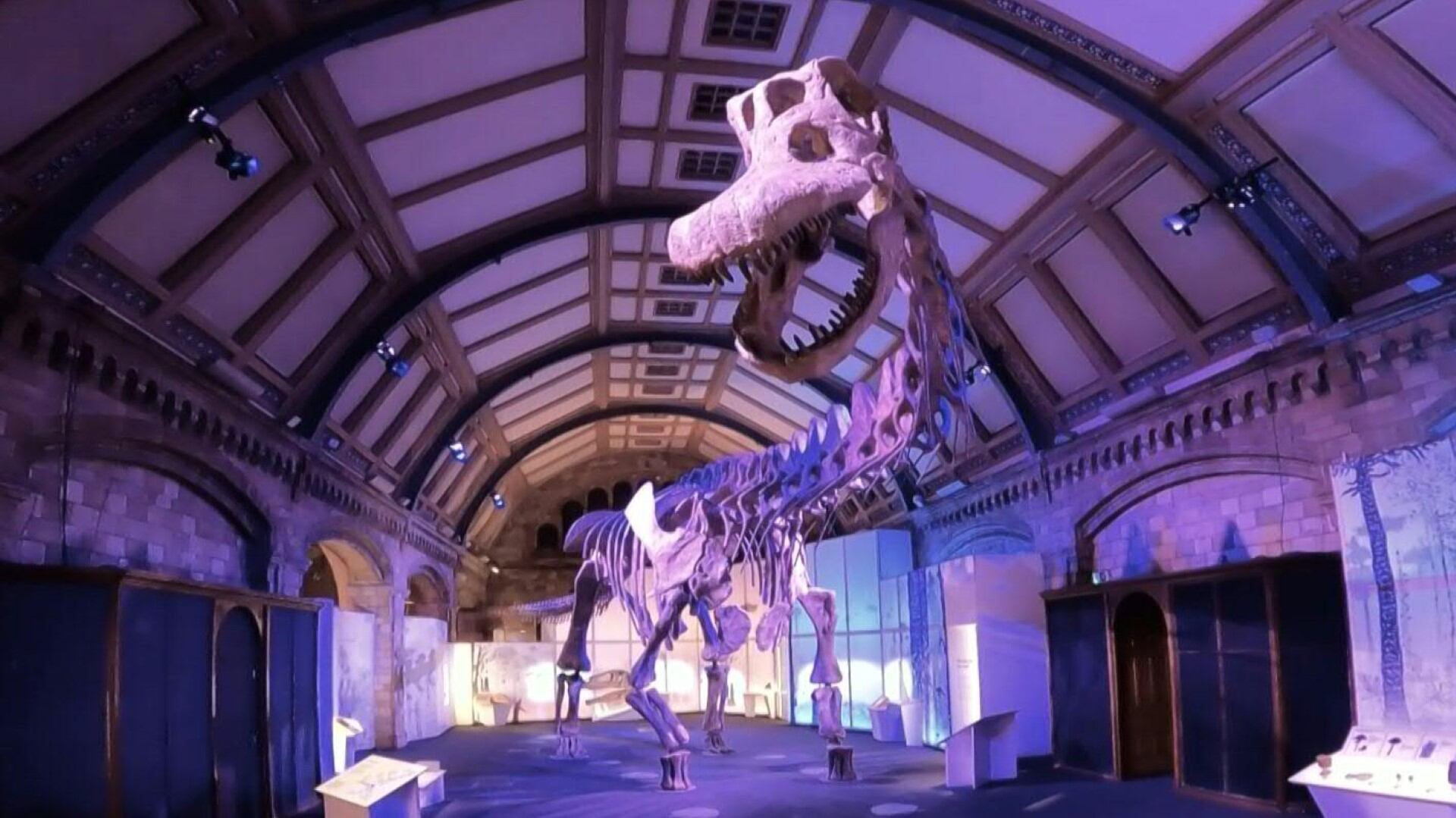 Réplica de un dinosaurio estará en Museo de Londres