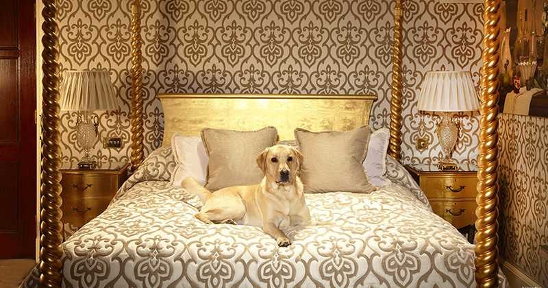 Se aumenta la posibilidad de desarrollar trastornos al momento de conciliar el sueño.