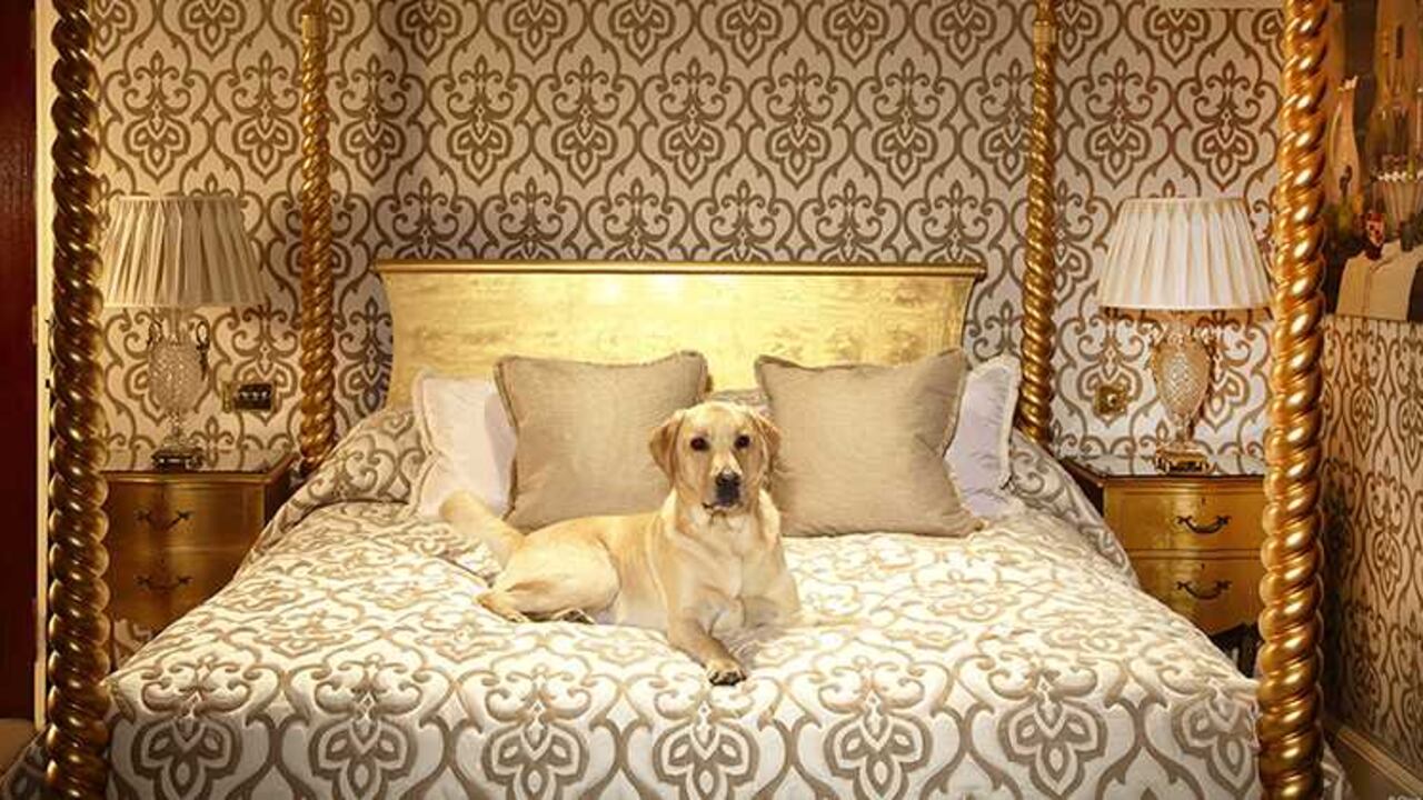 Milestone Hotel, uno de los hoteles Pet-Friendly del mundo.