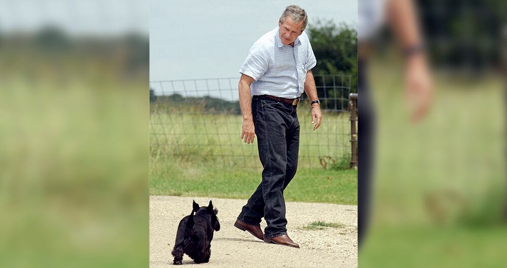  “Nunca hablaba de política y siempre fue un amigo leal”, dijo George W. Bush acerca de su terrier escocés, Barney, fallecido en 2013.