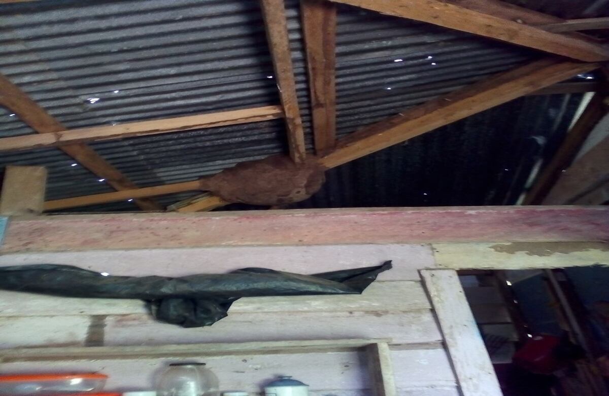 Así luce el techo de la cocina del restaurante de la escuelita María Auxiliadora.